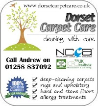 Dorset Carpet Care 351397 Image 2